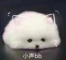  黄页88高清图片