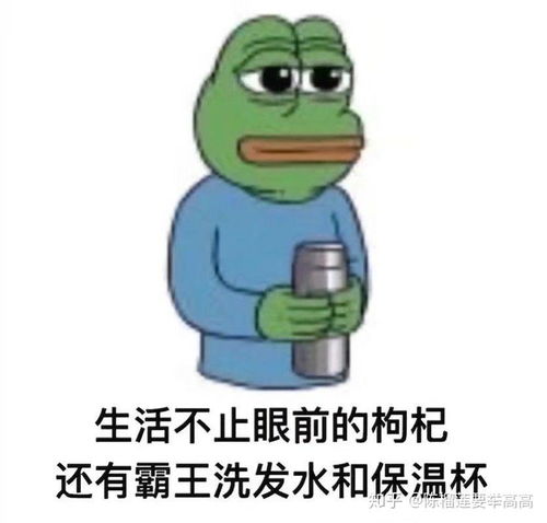  上学上到初中上到高中上到大学的区别是什么