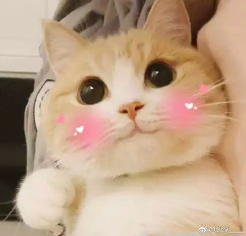  开开心心上学去