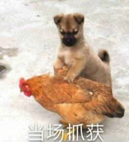  交警查酒驾,男子没喝酒却强行冲卡逃走,原来是因为...