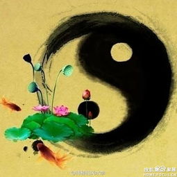  跟着风水大师学装修过道楼梯风水装修知成都装修集采