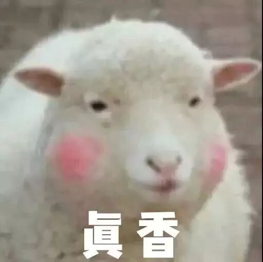  ahc新品测评把黄金用在脸上原来是这种感觉