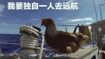  77张鸡表情包祝你鸡年大吉吧