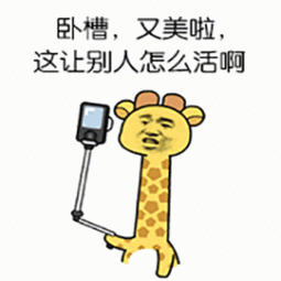  中国女游客巴厘岛自拍,瞬间被巨浪吞没,这样搏出位宁愿不要啊