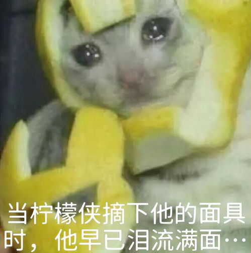 这票房冠军,我真夸不下去