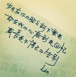  北京四中初二女生那篇爆红网络的作文愿你