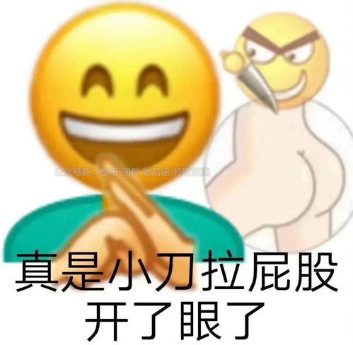  歇后语表情包真是小刀拉屁股开了眼了图片表情包聊天