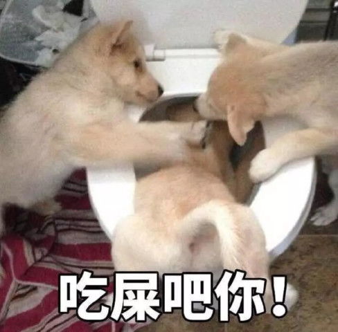  表情包精选多好个姑娘,可惜是个精神病
