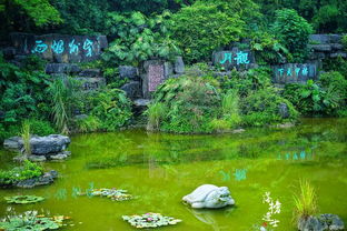  八月,桂林阳朔3日休闲游,一场歌舞唱响八桂大地