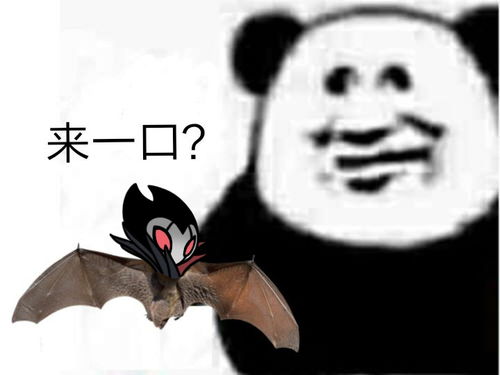  圣巢野味