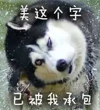 哈士奇,为表情包而生的狗子