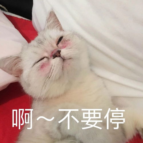  混油皮痘痘肌买什么水乳比较好尽量平价一些