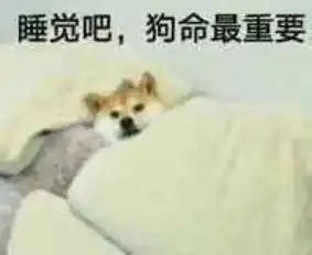 求职图片表情包狗命
