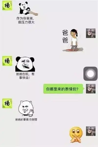  爆笑gif谁在家里能做到这一点,后面举个爪爪