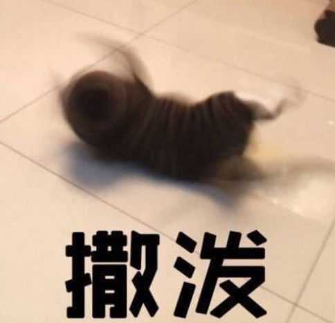  可以斗图和怼人的熊猫头有时间一起吃鱼,看你挺会挑刺的