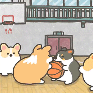  软萌柯基的日常表情包