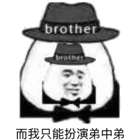 演我表情包弟弟