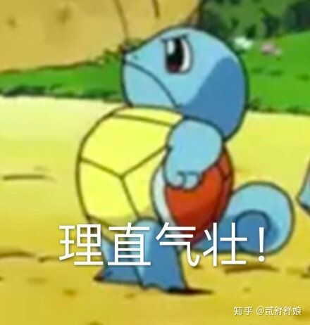  啥意思鸭