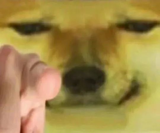  表情包蛤蟆狗柴犬cheems表情包