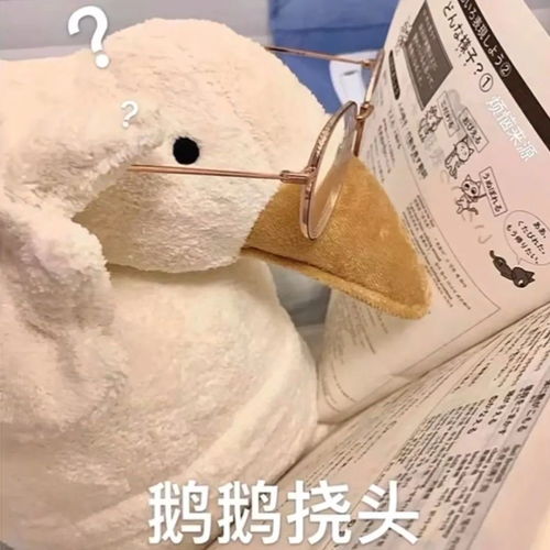  斗图不会输的表情包260期