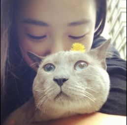  待我长发及腰