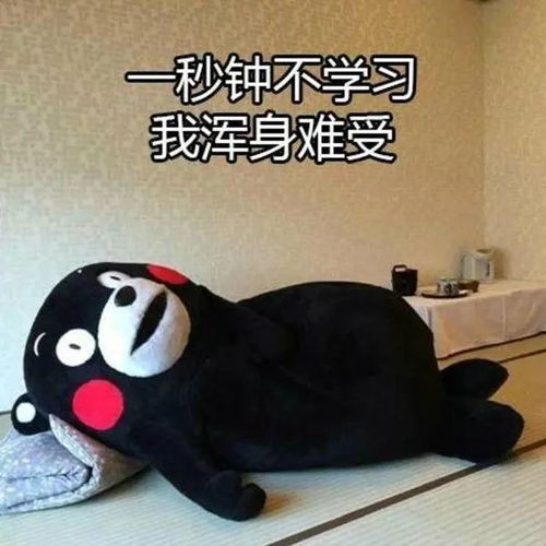  厌学症管心营初一没学好,初二初三能跟上吗