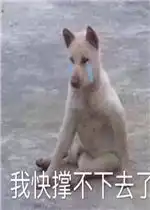 我快撑不下去了表情包图片平平淡淡才是真奥特曼表情包下载乐游网游戏下载