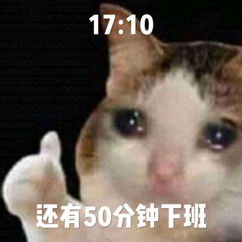  大部分人的日常心情