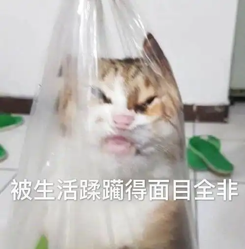  搞笑gif开心一刻姑娘,你还想占点便宜啊