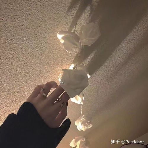  如何唱好英文歌尤其是快歌