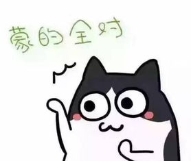  注会未来的发展潜力大不大,要从哪几点判断