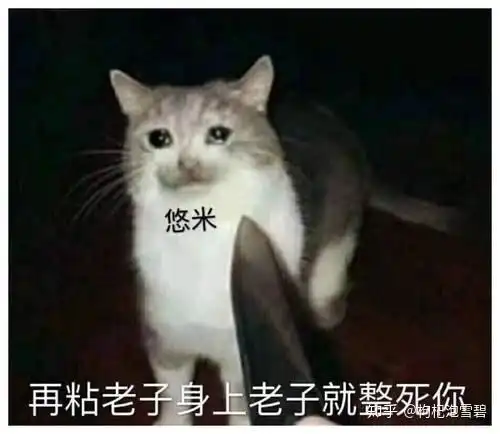  lol辅爹攻略高分猫咪原来这样玩两套符文玩法让你胜率暴涨