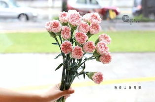  2019年12星座幸运花大揭秘