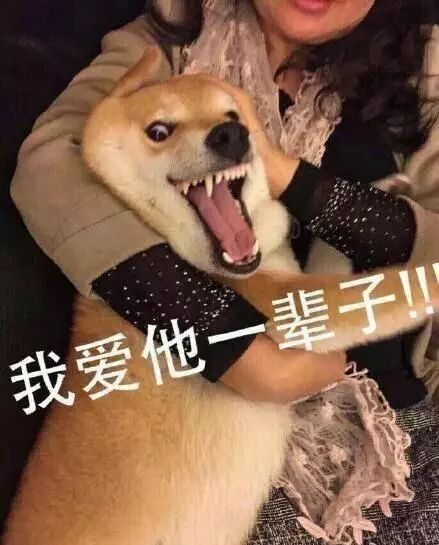  追星有让你变成更好的人吗