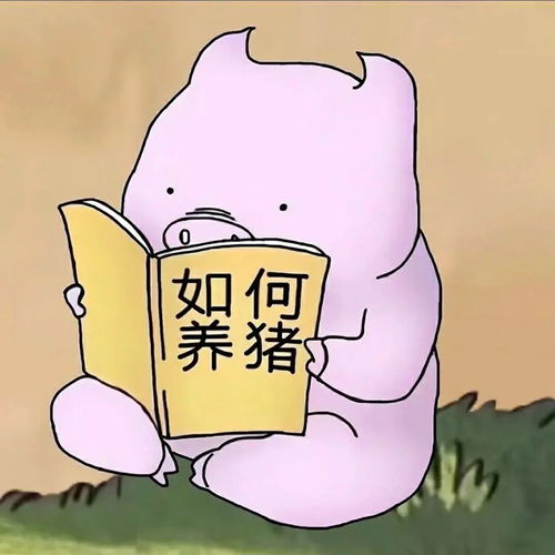  求那种暗戳戳的情侣头像