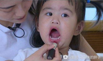  包贝尔女儿包饺子表情包上线