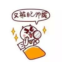  上海申浩汽车