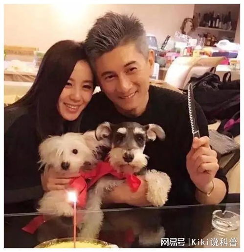 小羊公仔情侣头像刘诗诗
