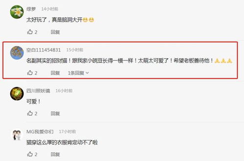 板凳表情包货代