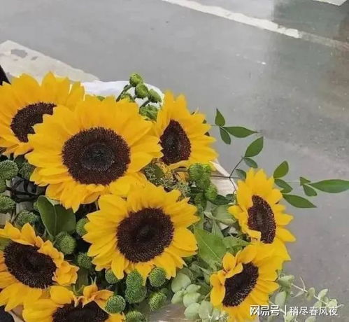  听微故事楼下邻居