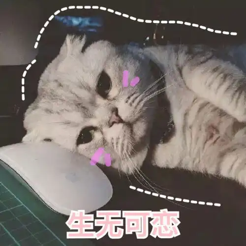  放弃稳定高薪的工作,创业真的行么