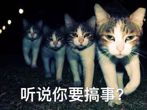  蕾哈娜,gaga,贝嫂,明星同款的奇葩鞋子,你想要哪一款