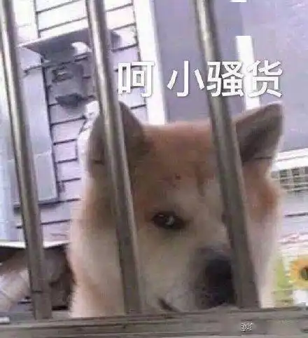  斗图专用柴犬表情包野心不大你和天下