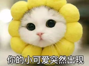  新版本爆料策划大大又来拯救世界啦