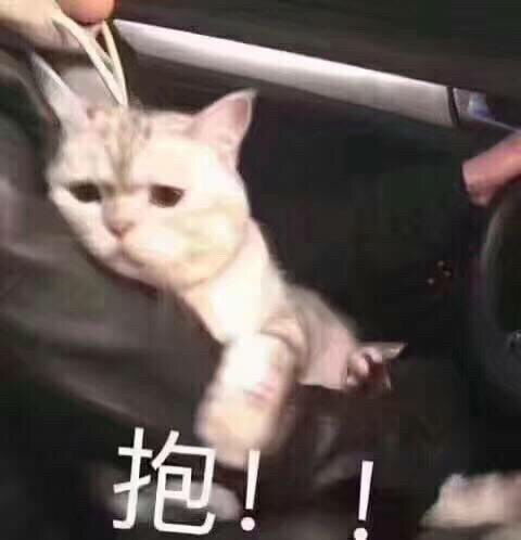  求美妆蛋推荐