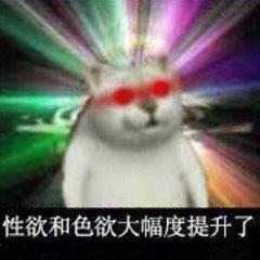  最近非常火的一组憨憨猫表情包奇怪的知识增涨,社会阅历上升了