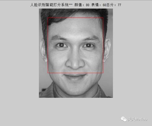  基于pcasvm表情识别评分系统matlab代码