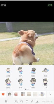  微信朋友圈如何添加微信表情