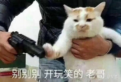  歌手.当打之年第五期中华晨宇演唱的我们好在哪里