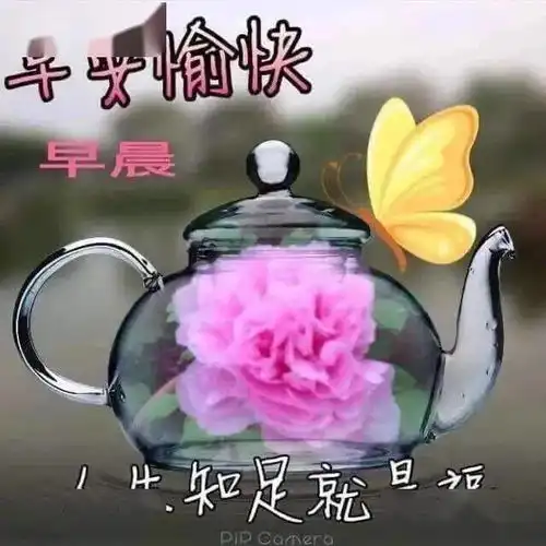 非常漂亮的早上好问候语表情包,温馨暖心的祝福语